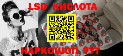 амф Кингисепп