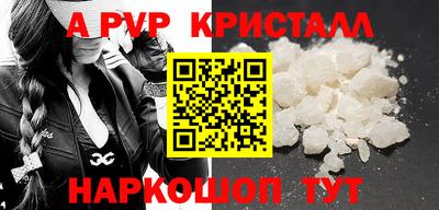 амф Кингисепп
