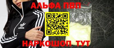 амф Кингисепп