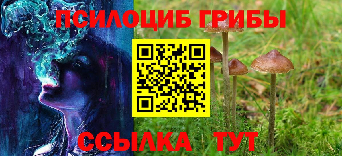 Тейково  наркотики  Вход с VPN  Галлюциногенные грибы GOLDEN TEACHER 